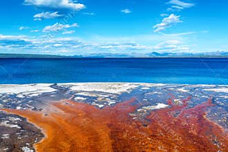 Bacteria Mat and Yellowstone Lake