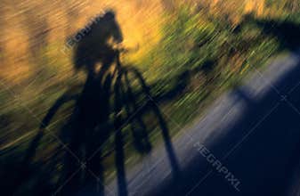 Bicyclist's Shadow Whizzing By