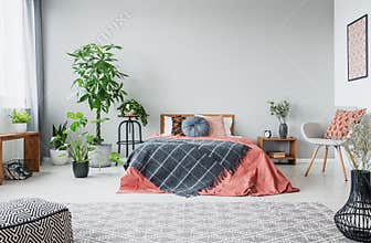 Urban jungle in modern bedroom with king size bed, comfortable grey armchair and patterned carpet