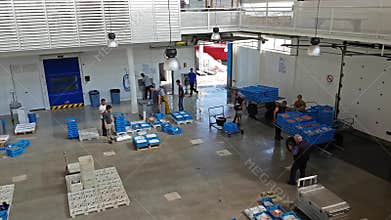 Fish auction Blanes, Spain. Containers on conveyor