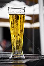 Draught Beer