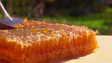 Hostess lifts a cut piece of honey in honeycombs