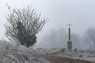 The tree, the fog and the cross