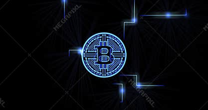 Bitcoin data pulse