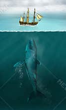 Whale Attack Tall Sailing Ship