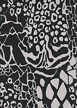 Abstract black and white feline skin.