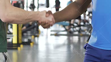 Coach firmly shaking hands to his partner after successful training session