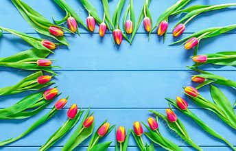 Heart from Red Tulips Flowers on blue wooden table for March 8, International Womens Day, Birthday , Valentines Day or Mothers day