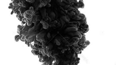 Ink Smoke Transition - Transition animation resembling ink or smoke. Black and white abstraction in the form of smoke