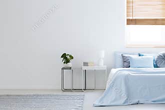 Plant and lamp on table next to blue bed in bedroom interior wit