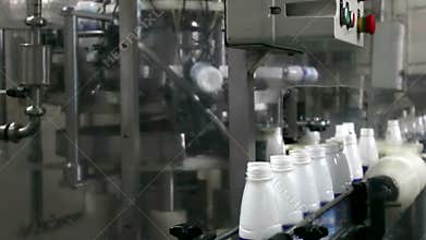 Factory for Processing and Packaging of Dairy Products