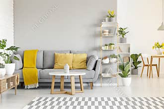 Yellow pillows and blanket on grey sofa in modern living room in