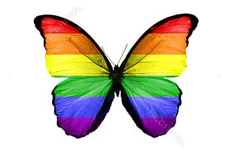 Flag of LGBT on the wings of a butterfly. isolated on white background