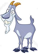 Billy goat