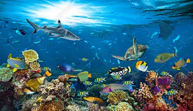 Underwater paradise coral reef colorful fish background