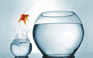 Goldfish jumping in a bigger bowl - aspiration and achievement concept