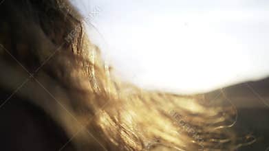 Hairs flapping in sun shining