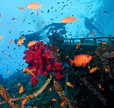 Wreck and divers