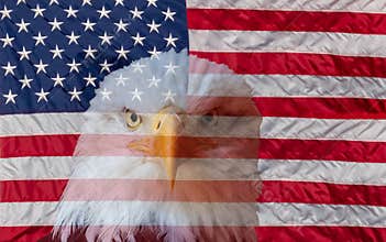 Always vigilant american flag and bald eagle