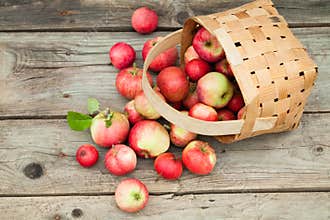 red Apples on wooden background