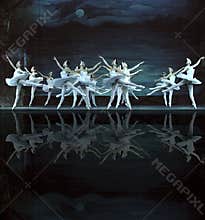 swan lake ballet performed by russian royal ballet