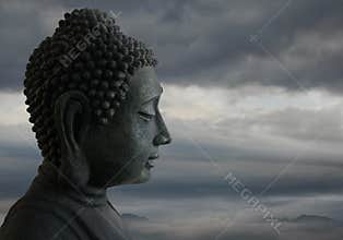 Buddha in the Universe