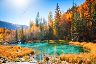 Geyser lake with turquoise water in autumn Altai mountains, Siberia, Russia