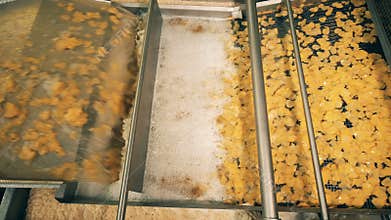 Metal line transports potato chips at a food plant.