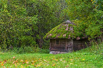 Old hut in the woods