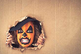 Halloween Pumpkin Autumn Holiday Concept
