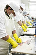 Food processing line