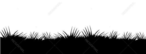 Grass vector.Grass field silhouette.
