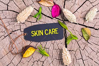 The text skin care in tag