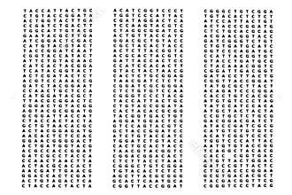 Human genome