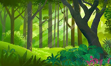 Lush dense green forest with sun rays touching the plants and trees