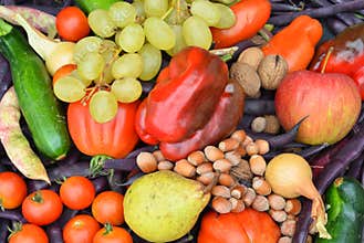 the autumn harvest Finally it has arrived