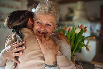 Happy senior mother hugging adult daughter indoors at home, mothers day or birthday celebration.