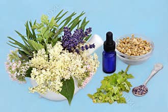 Herbs and Flowers Plant Based Medicine to Treat Anxiety