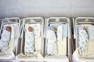 Newborn babies in materinity hospital