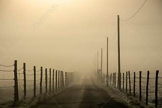 The mountain road, marked by vertical poles, plunges into a dense fog due to the difference in temperatures from night to morning