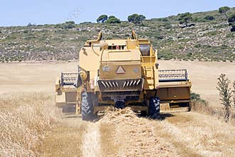Man repairing a combine harvester