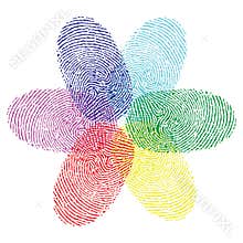 Color fingerprint flower