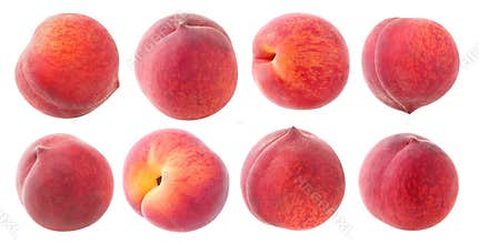 Isolated peach fruits at different angles