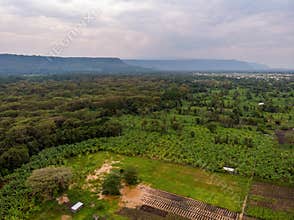 Aerial view on Farm plantation on the Edge with a Primal Virgin Forest of Manyara National Park Concervation Area in