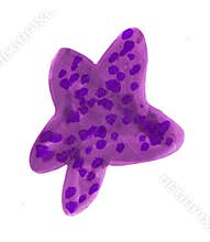Purple cartoon starfish with dots
