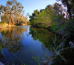 Small creek river slow  current  flow