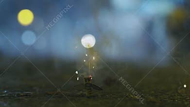 Lighting a firecracker with following explosion