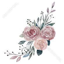 Watercolor Pink,Orange Roses bouquet with leaves on white background beautiful elements for wedding invitation, Vector