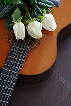 Roses on guitar