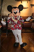 Meet and greet with Mickey in a tropical outfit